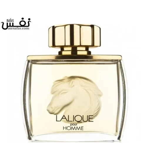 عطر ادکلن لالیک پور هوم ایکوز | Lalique Pour Homme Equus