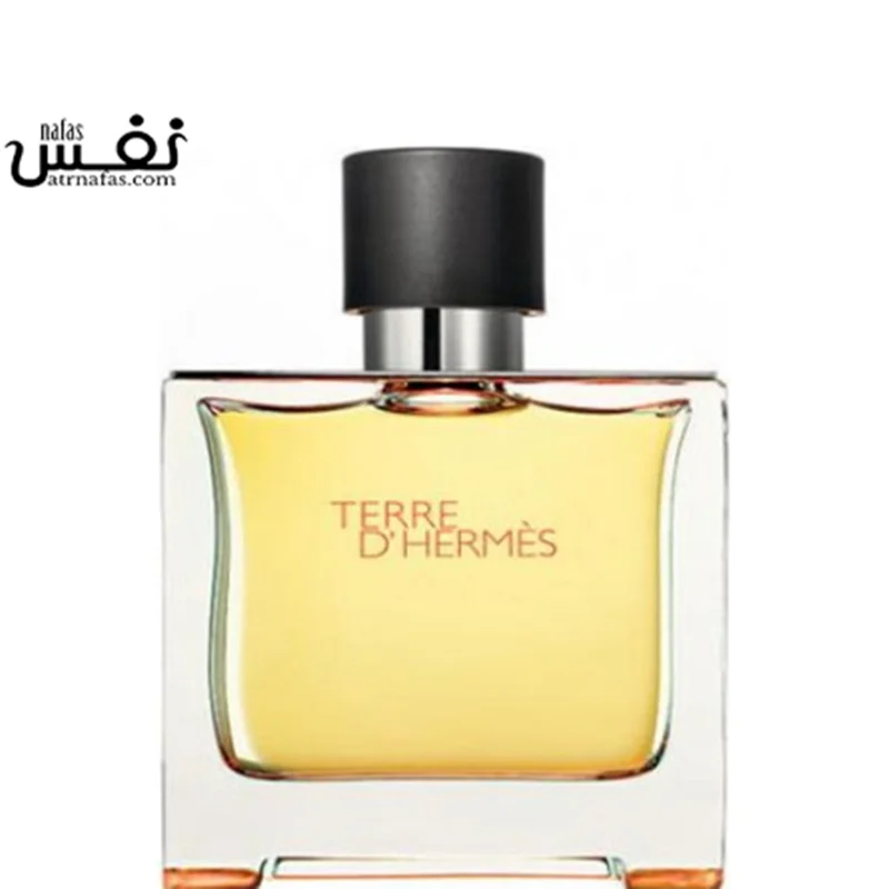 عطر ادکلن هرمس تق هرمس | Hermes Terre d’Hermes 100 ml